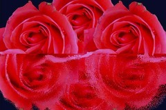 thumbs_Prather_Anne_Reflection