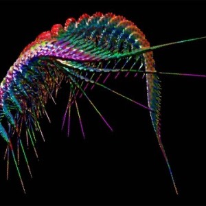 Prather-Anne_Shrimptastic.jpg-nggid042952-ngg0dyn-0x360-00f0w010c010r110f110r010t010