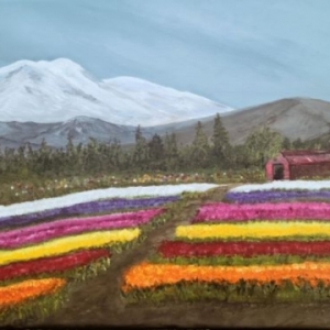 Williams-Theresa-Tulip-Fields-225.jpg-nggid043192-ngg0dyn-0x360-00f0w010c010r110f110r010t010